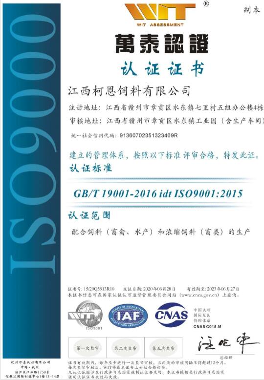 ISO9001质量管理体系认证（换证）